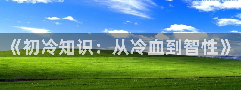 txt下载趣书网