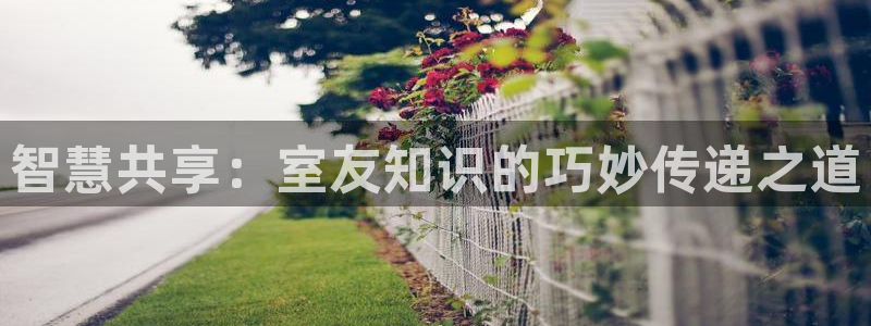 趣书网小说免费阅读